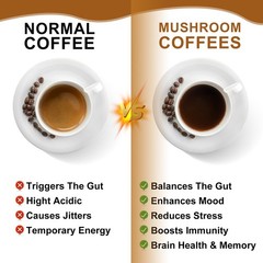 Mushroom Coffee Organic Lions Mane Reishi Chaga Immunity & Brain Booster70g