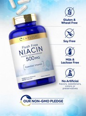 Niacin 500mg | Flush Free | 220 Capsules | Non-GMO, Gluten Free | by Carlyle