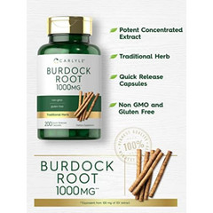 Carlyle Burdock Root | 1000 Mg | 200 Capsules Traditional Arctium Lappa Extract