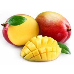 Fiber-rich – AFRICAN MANGO – Pure extract 2 Bottle 120 Capsules