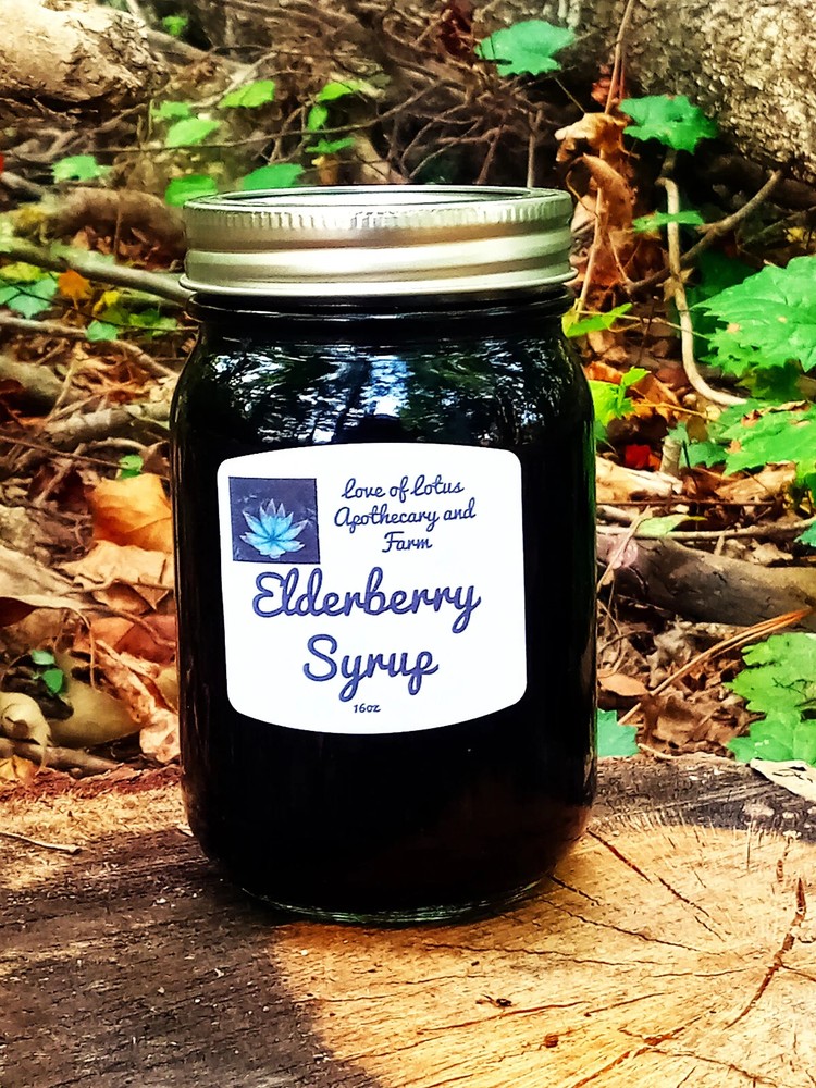 Elderberry Syrup – Organic Ingredients