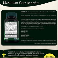 Energy Focus Memory Support | Best Supplement Office Computer Use FREE SHIP