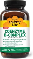 Easy-to-Swallow Coenzyme B-Complex – 240 Capsules for Energy & Cognitive Health