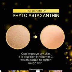 Phyto Astaxanthin Plus 30 Caps Original Ship From Malaysia Glowing Skin New