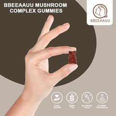 Mushroom Extract Complex Gummies Lions Mane Chaga Reishi Focus Memory Immunity