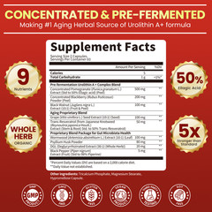 Urolithin A Supplement Enhance Cellular Health & Boost Energy Focus 120 Caps