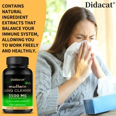 Mullein Leaf Extract Cleansing And Detoxification Promotes Lung Health 120 Pills
