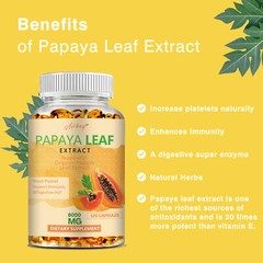 Papaya Leaf Extract Capsules -Support Digestive,Maintain Natural Platelet Levels
