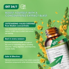 Mullein Leaf Extract Drops 60ml Lung Cleanse Respiratory Herbal Drop Health Care
