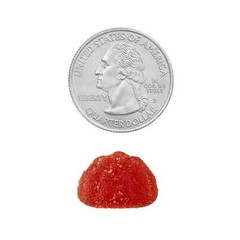 Spring Valley Zero Sugar Men’s Multi Gummy, 150 Count,Adult