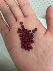 Secret Before Meal Organic Acids Granule, 50P, Healthy Dietary Nutrients