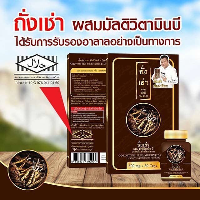 6 X Cordyceps Plus Multi Vit B Increase Sex Performance Healthy Anti-aging Halal
