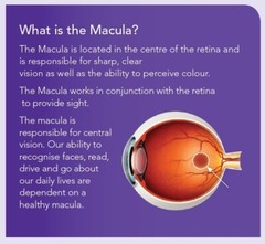 Macutec Once Daily 120 capsules Protection for your eyes Supports Macula Health