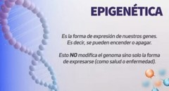 ACTIVZ COMBO : 1 GNMX + 1 LINQ + 1 OPTIMEND + 1 AIRO FREE SHIPPING BE HEALTHY!!!