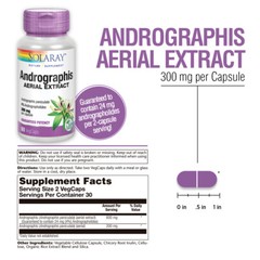Solaray Andrographis Aerial Extract 300 mg | 30 Serv | 60 VegCaps