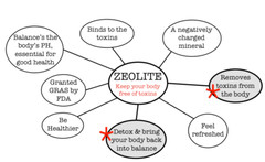 Liquified Zeolite Liquid Natural Detox Extra Strength 4pk + 2 FREE exp/2028