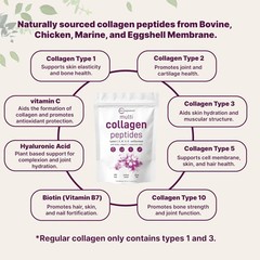 Micro Ingredients Multi Collagen Peptides Powder 16oz – Type I II III V X