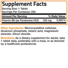 Bronson Vitamin B-6 100 mg – 250 Tablets – 250 Day Supply