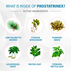 Prostatrinex Prostate Support – 5 Bottles – Official Seller – 100% Natural