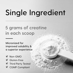 Creatine Monohydrate Micronized Powder 500G – 100 Servings, 5000mg Per Serving