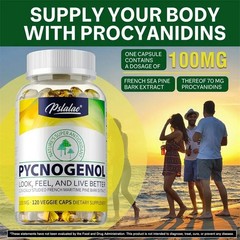 Pycnogenol 120pcs – Antioxidant, Improves Joint Flexibility, Blood Circulation