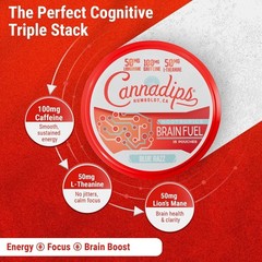 Cannadips – Brain Fuel Variety Pack – Nootropic Caffeine Pouches – 50mg Lions…