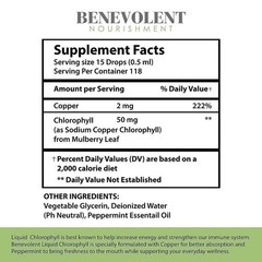 NEW Benevolent Nourishment Liquid Chlorophyll Herbal Supplement 2 oz