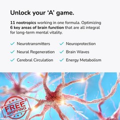 Mind Lab Pro Universal Nootropic Formula – High Quality 60 Capsules