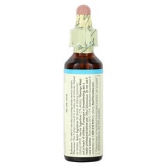 Original Flower Remedies, Chicory, 0.7 fl oz (20 ml)