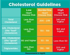 CHOLESTEROL BAD & HIGH TRIGLYCERIDES REMOVER & FLUSHER 90 PILL softgels