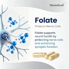 StressXcel L-Methylfolate 5-MTHF 15 mg Active B9 Plus Methyl B12 120 Servings