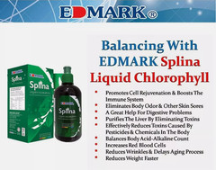 3 X Splina Liquid Chlorophyll by Edmark Int’l. 500ml