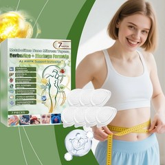 Slimming Patches suitable for Weight Loss 10-in-1 Nano Microneedle Plaster Patch