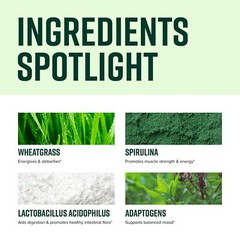 Comprehensive Superfood Supplement with 65 Superfoods 30 Servings 1 Scoop