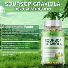 Soursop Graviola 240pcs – Respiratory Support, Skin Health, Promotes Digestion