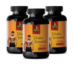 Tribulus Terrestris Extract 1000 – Testosterone Booster. Muscle Mass Pump – 3Bot
