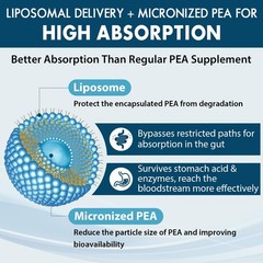 Micronized Pea Supplement Palmitoylethanolamide 1300 MG Luteolin 100 MG 60
