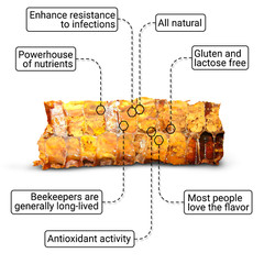 Bee Bread, Pure Fermented Bee Pollen, Organic Supplement 3.5 oz / 100g Raw Perga