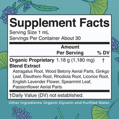 Kids Focus & Attention Drops – Organic Ginkgo Biloba, Rhodiola, Licorice | Vegan