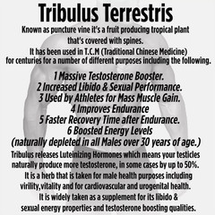 TRIBULUS TERRESTRIS 7500mg EXTRACT 96% SAPONINS BIG MUSCLE BODYBUILDING PILLS