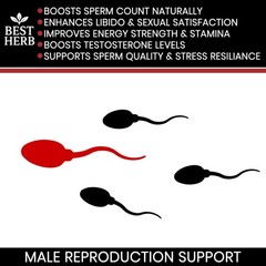 FERTILITY BOOSTER CONCEPTION AID MALE SUPPORT INCREASE SPERM MOTILITY VOLUME MEN