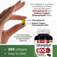 FITO MEDIC’S Lab – Chlorophyll – Pure – 800 mg per 200 Count (Pack of 1)