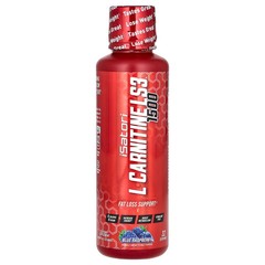 2 X Isatori, L-Carnitine LS3 1500, Blue Raspberry, 1,500 mg, 16 fl oz (480 ml)
