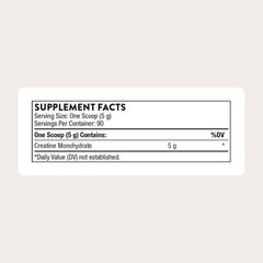Creatine – Micronized Creatine Monohydrate Powder – Support for Muscles & Cognit