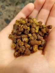 Bee Bread 4.3 oz / 120g Pure Fermented Bee Pollen, Organic 2025 Harvest