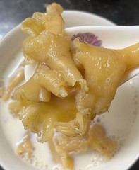 1磅装挪威鳕鱼胶 1LB/Bag Size M Dried Norwegian Cod Maw wild caught fish maw-U.S Seller