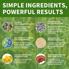Lung Detox – Mullein Leaf – Respiratory System Health, Support Cleansing & Detox