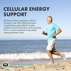 Source Naturals, Inc. Life Force Multiple No-Iron 60 Capsule