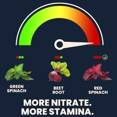 RS400™ – Plant-Powered Performance, Standardized to 400 mg Nitrates Per Serving