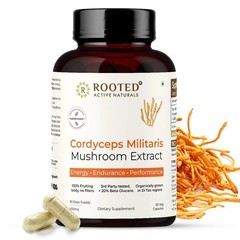 Cordyceps Mushroom – Performance Mushroom Supplement for Testosterone booster A2